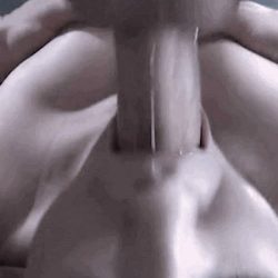 Pretty babes sucking cocks set by ‘The Art of the Blowjob’